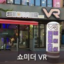 쇼미더 브이알 이미지