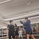 복싱아카데미 | 마린시티 복싱 마린킹콩복싱아카데미