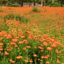 가야농장 이미지