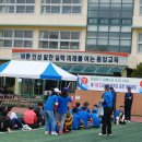 다시남초등학교 이미지