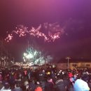 불꽃돼지 이미지