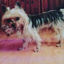 진천상신초등학교 이미지