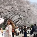 진해구 ⓒ-3 이미지