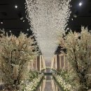 네스트(주) | 웨딩홀 투어 / 충주 네스트 웨딩홀 후기 (계약 X)