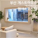 바다하우스 호스텔 | 부산게스트하우스 애견동반 가능숙소 캔버스호스텔