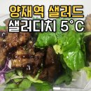 샐러디치오도씨 이미지