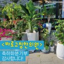 바로고침한의원 이미지