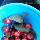 강천산 도라지골 이미지