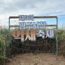나무창작소협동조합 | 아이와 가볼만한 곳 2024 서창억새축제 10월17일 첫째날 방문후기