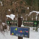 송악산 숲길 이미지