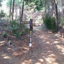 공지산 둘레길 이미지