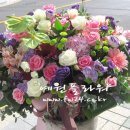 법률사무소예원 - 송파구 가락로36길 6 | 법률사무소예원