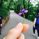 하늘애한의원 이미지