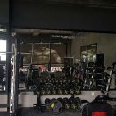 더블디 휘트니스 이미지