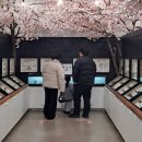 창녕우포곤충나라 이미지