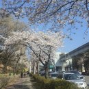 (주)럭키주유소 | 260405 박효신 LIVE A&amp;E 2026 콘서트 후기 (👼)