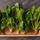 비금농장 이미지