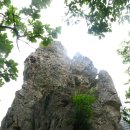 여주온천삿갓봉 이미지