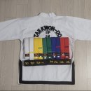 ITF 태권도 송파도장 | 안산 성인 태권도 N년차 기념 후기~ ITF태권도 안산도장 유단자