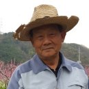 태경슈퍼 이미지