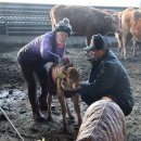 미동농장 이미지