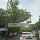 대청 계곡길 | 김해 장유 대청계곡 애견동반 후기