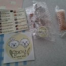 멈머다냥 이미지