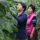 오이씨농장1 이미지