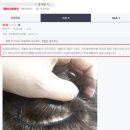 M.J.헤어샵 | 가발맞춤, 설마 샘플도 안써보고 구매하시는 거 아니시죠..?