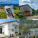 하례김밥 | 제주 오는정김밥 전화 예약 후기부터 제주도 워크샵 3박4일 2일차 코스 정리