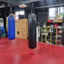 번영 복싱체육관 이미지