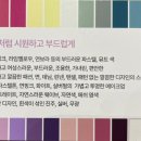 파스텔헤어모드 - 서동 | 파스텔헤어모드