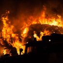 쌍수농장 이미지