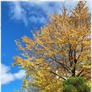 하나행정사사무소 이미지