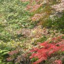 가을 명성산에 안긴 산 마니아들과 그 자연의 모습 이미지