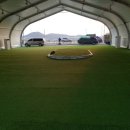 영광잔디 이미지