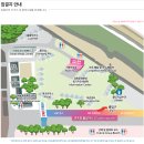 동백행정복지센터 삼거리앞 | [제33회 경주벚꽃마라톤] 추가 접수 후기와 기념품 코스 안내🌸