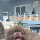 은아농장 이미지