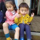 조은마린 이미지