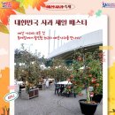 예산사과