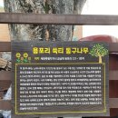 둥구나무한의원 이미지