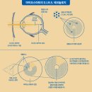 아일랜드안경원 파주운정점 이미지