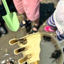 고온항 쉼터 공중화장실 | 경기도 서해 가볼만한 여행지, 화성 고온항, 당일치기 바다낚시 갯벌 즐기기!