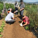 자활봉사센터 이미지