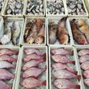 삼거리펜션민박 이미지