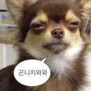 투썸플레이스위례