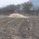 돌산가축 이미지