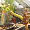 세한농장 이미지