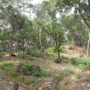 천양농장 이미지