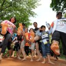 계족산황톳길 이미지